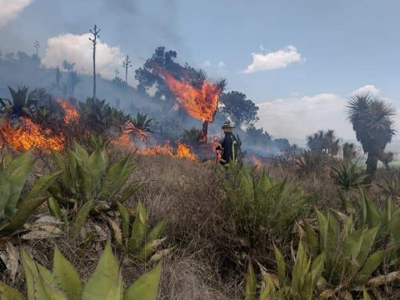 Se presenta incendio forestal en cerro de Libres