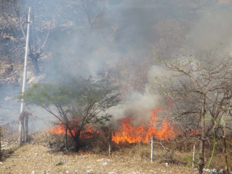 Se presenta primer incendio forestal en Chiapas