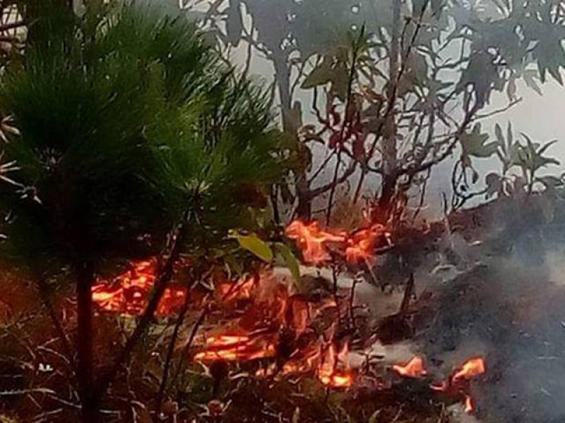 Se presenta primer incendio forestal en el Soconusco