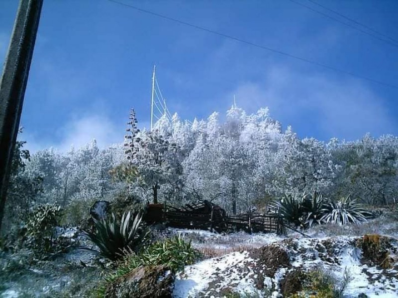 Se presentan en oaxaca temperaturas de hasta -4°