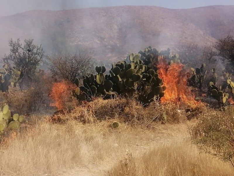 Se presentan incendios forestales en municipios poblanos