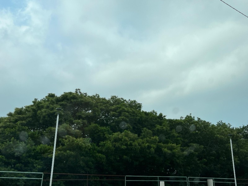 Se prevé ligera disminución de calor y probables lluvias