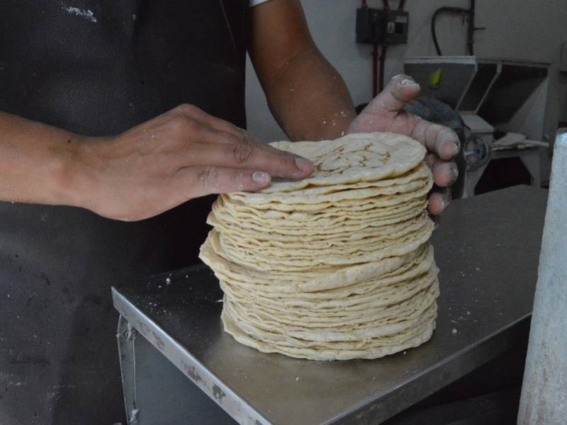 Se prevé nuevo incremento al precio de la tortilla