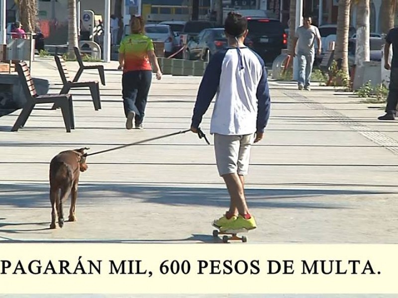 Se prohíben los perros en el malecón