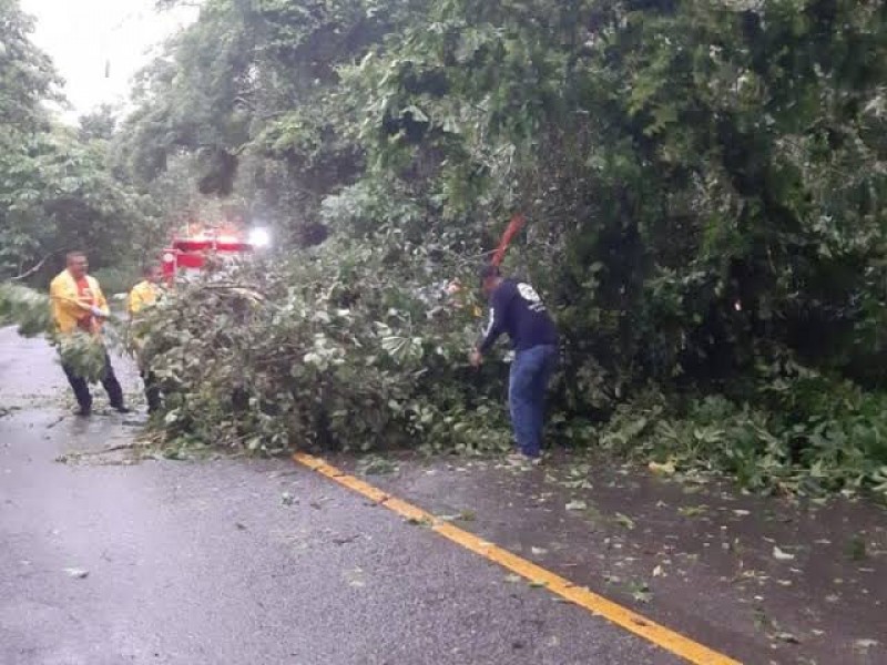 Se pronostican fuertes vientos por frente frío