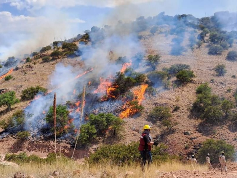 Se quema cerro el Pino