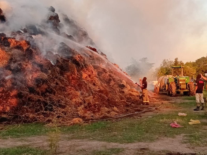 Se queman más de 10 mil pacas en Bacame Viejo, Etchojoa
