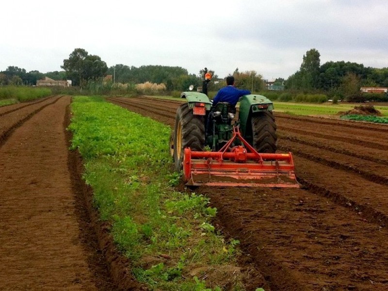 Se reactiva la economía por buena temporada agrícola