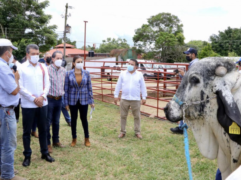 Se realiza XXV del Concurso Estatal de la Vaca Lechera