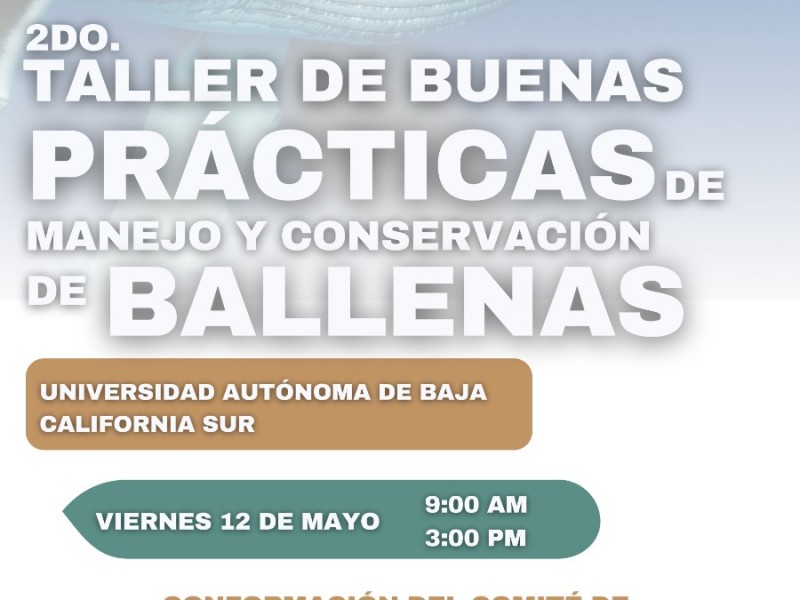 Se realizará taller sobre conservación de las ballenas