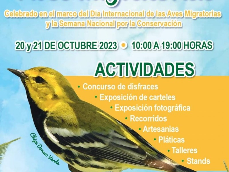 Se realizará tercer Festival de las “Aves Migratorias” en Tuxpan