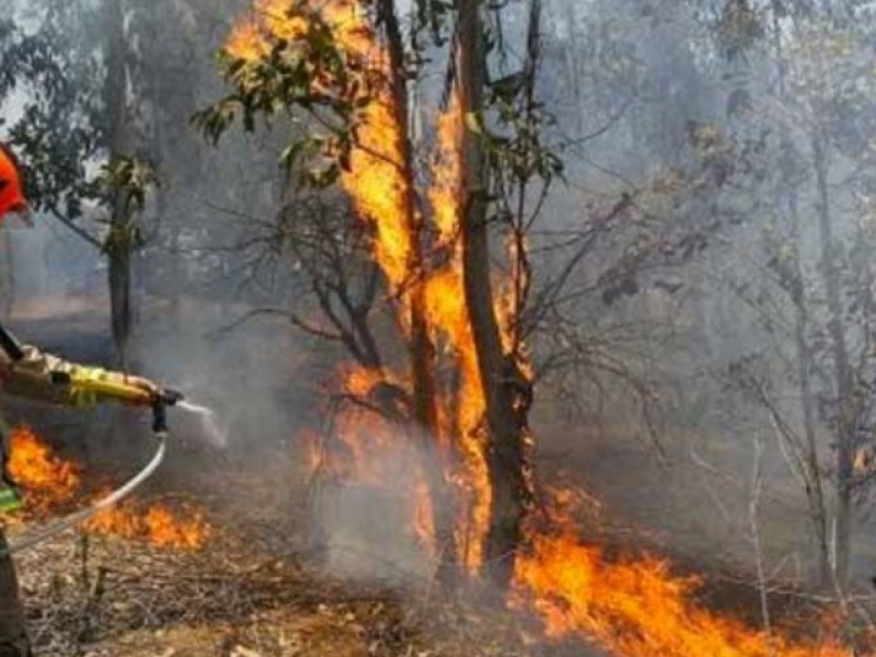 Se realizarán brigadas contra incendios en Veracruz