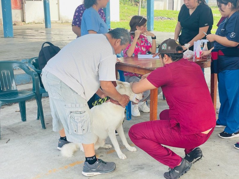 Se realizó en Tuxpan Brigada de Salud Animal