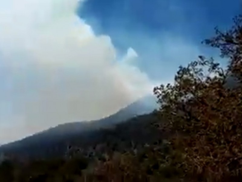 Se reaviva incendio forestal de Tepetongo por fuertes vientos