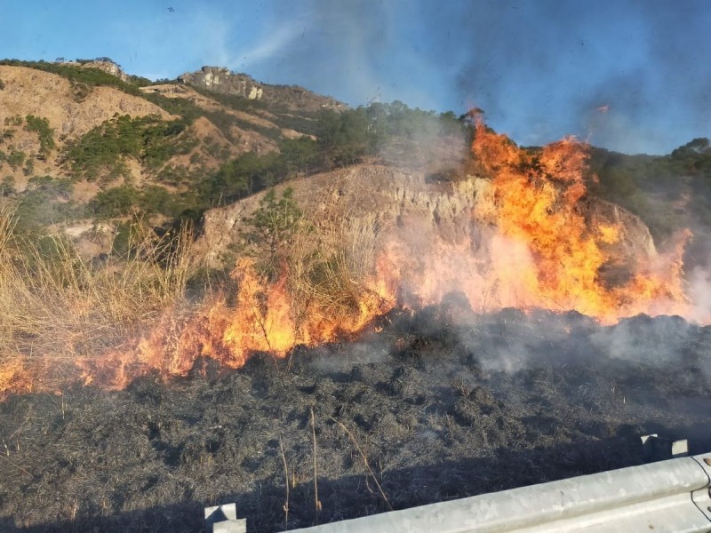 Se recrudecen incendios forestales en cuatro municipios de Nayarit