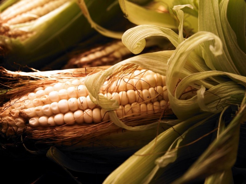 Se recupera el precio del maíz