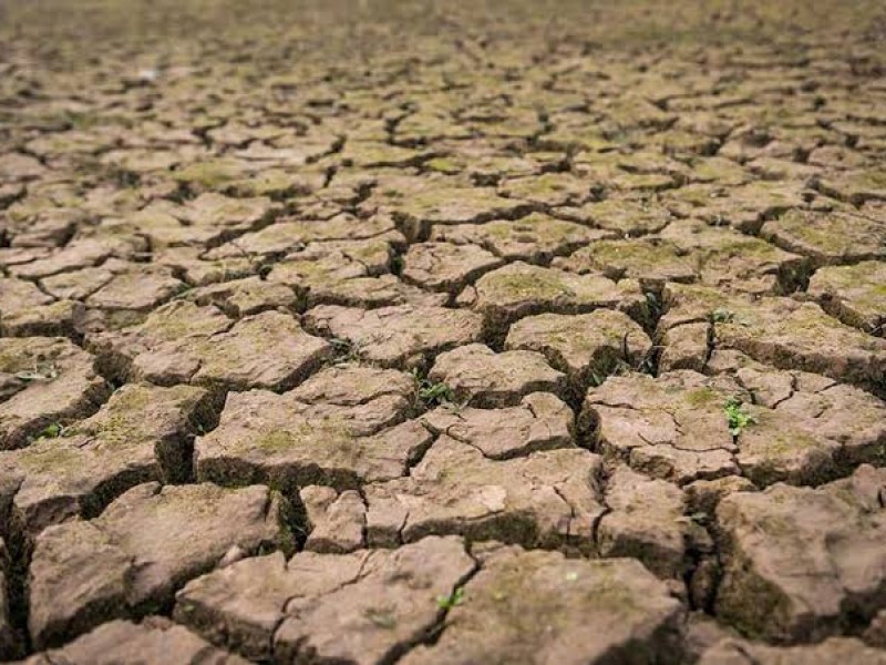 Se reduce sequía en Sonora, apenas 3% en riesgo