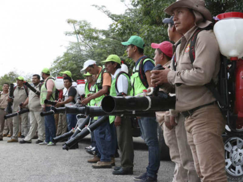 Se refuerzan las acciones contra en dengue