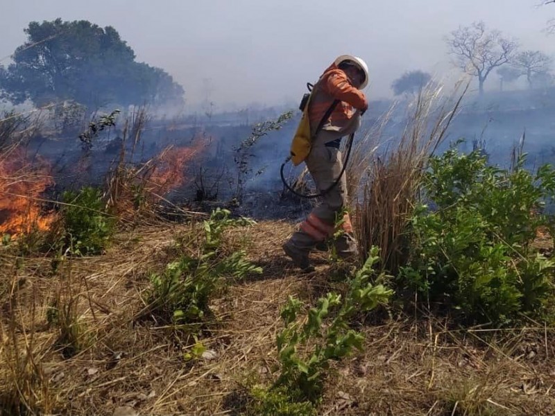 Se refuerzan medidas ante incendios forestales