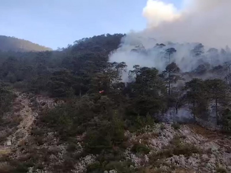 Se registra fuerte incendio en Alcomunga, Ajalpan