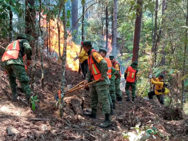 Se registra fuerte incendio en Arrayanal, en Minatitlán