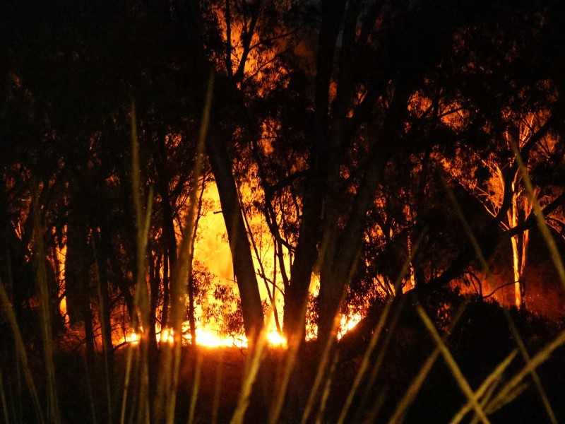 Se registra fuerte incendio en el cerro de Amalucan