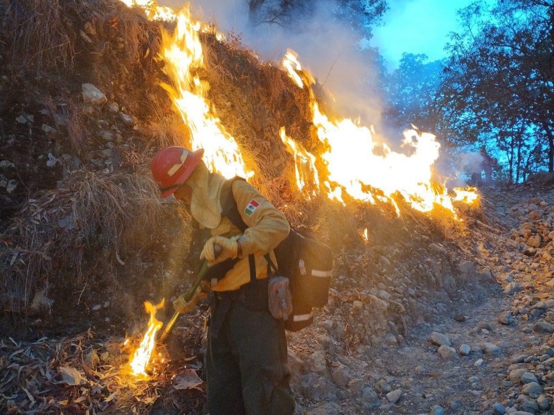 Se registra incendio en ANP de La Primavera