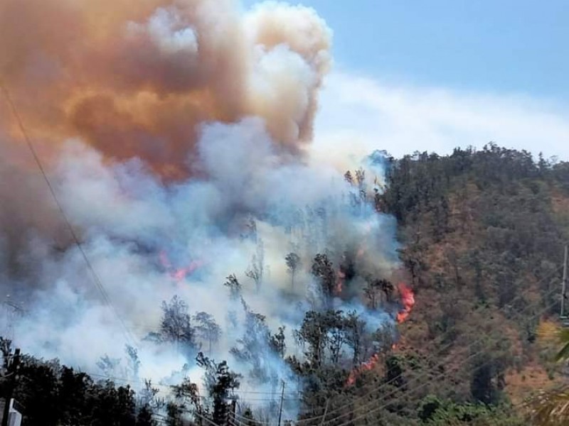 Se registra incendio en el cerro de San Juan