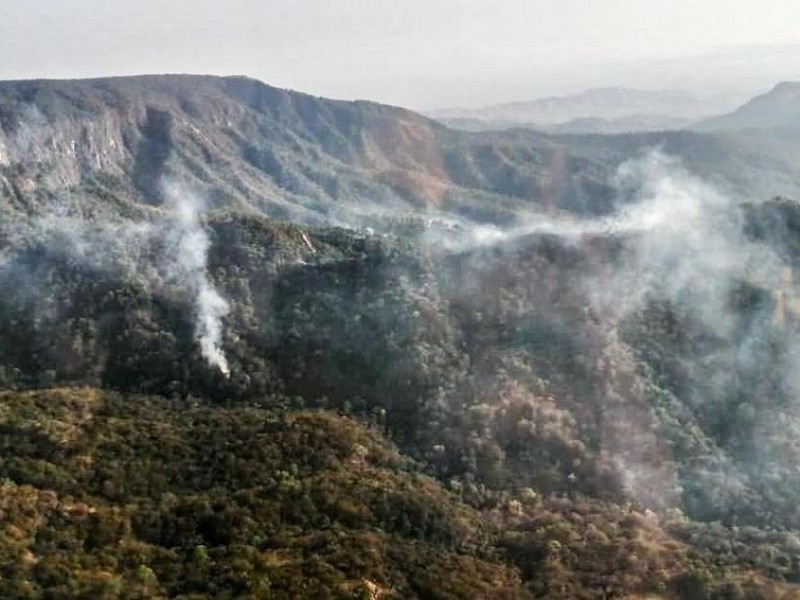 Se registra incendio en la selva de los Chimalapas