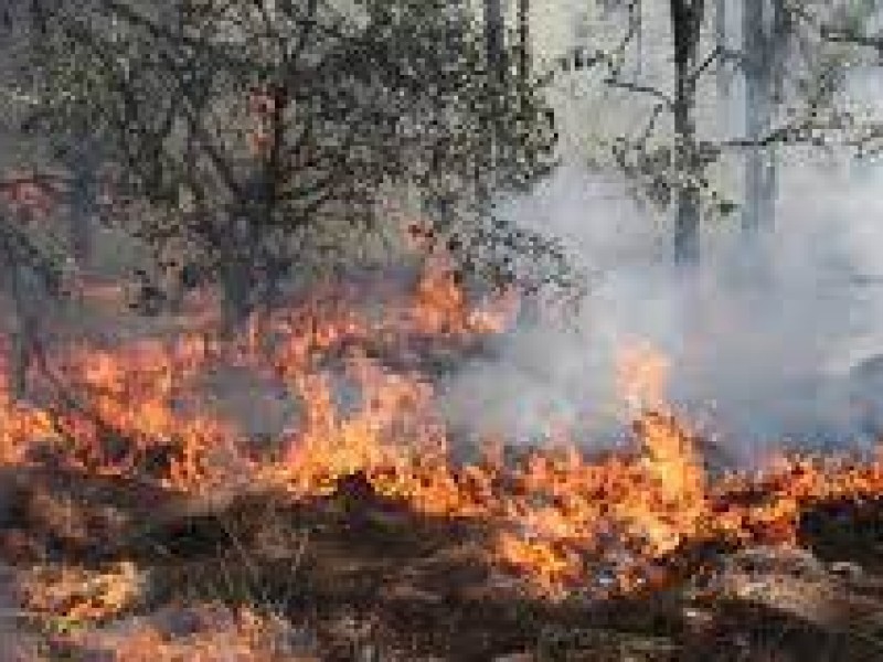 Se registra incendio en la Sierra de Lobos