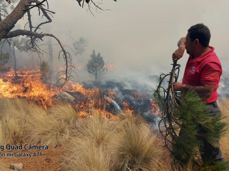Se registra incendio en las faldas del Nevado de Toluca