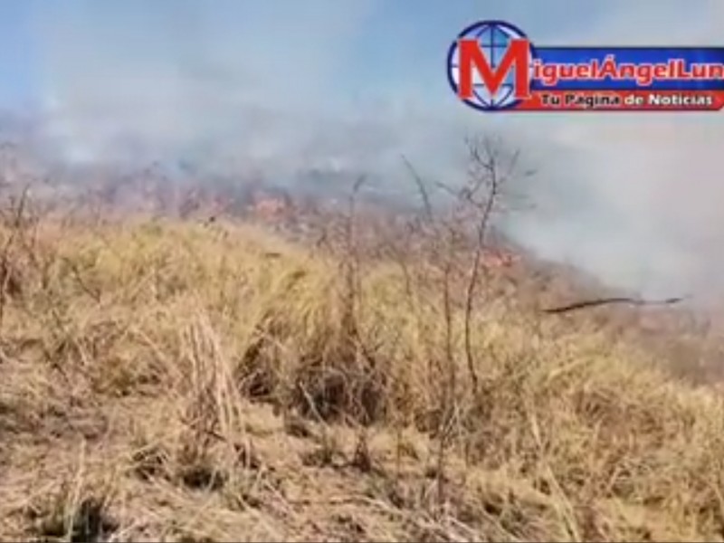 Se registra incendio forestal en Cerro La  Batea: Tepic