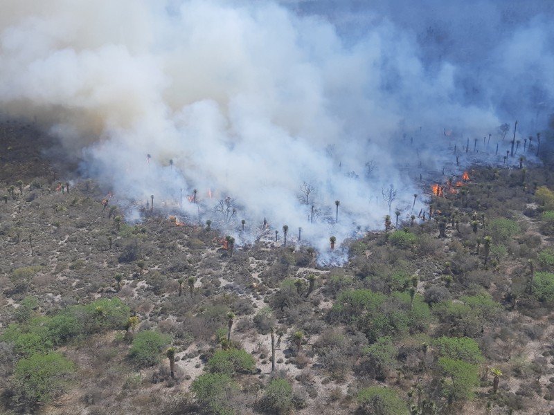 Se registra incendio forestal en Ixtlán del Río, reporta CONAFOR