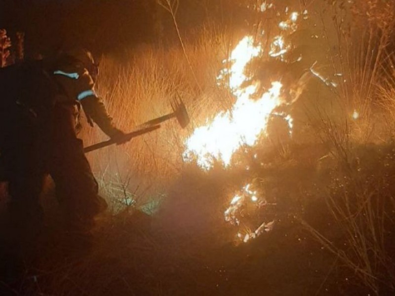 Se registra incendio forestal en la zona de Bugambilias