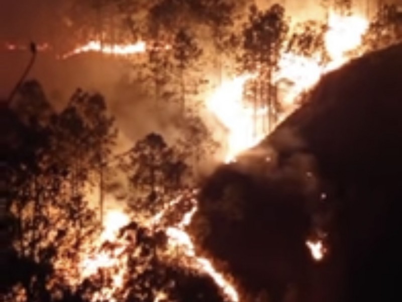Se registra incendio forestal en Perote