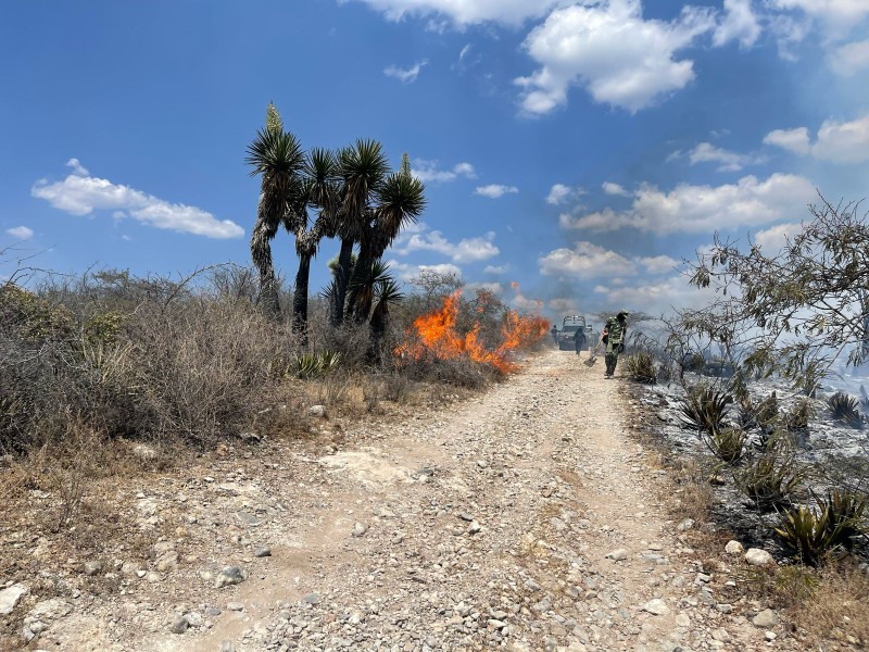Se registra incendio forestal en San Diego Chalma