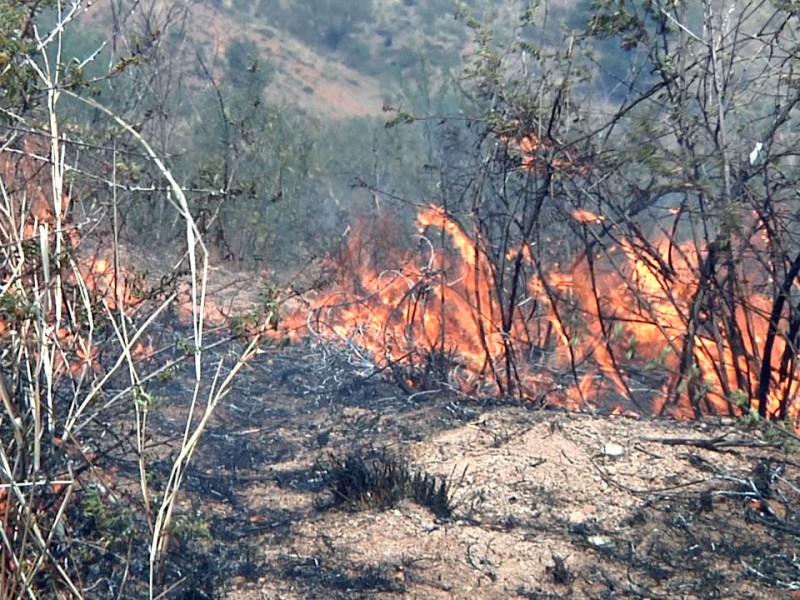 Se registra incendio forestal en zona de Pueblitos
