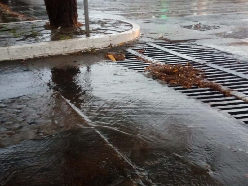 Cae primera lluvia del temporal