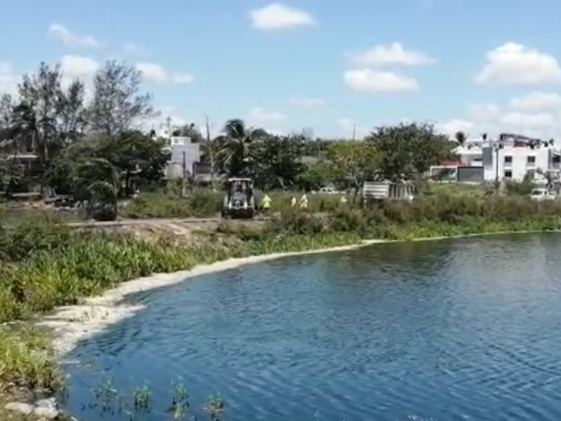 Se registra montardad de peces en Laguna La Ilusión.