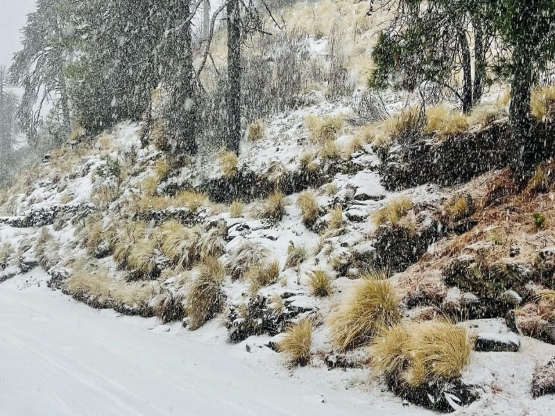 Se registra nevada en Parque Nevado de Colima