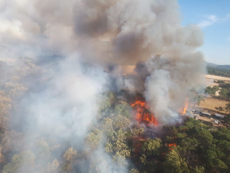 Se registra nuevo incendio en La Primavera