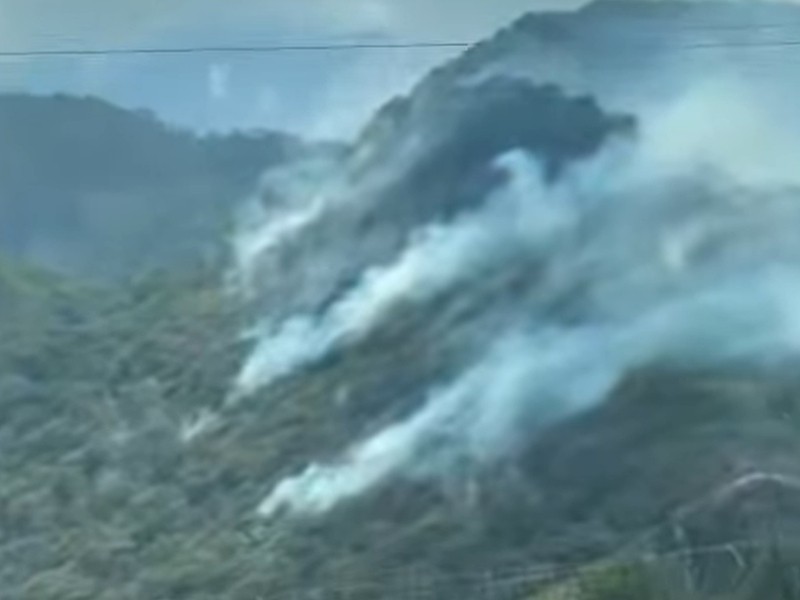 Se registra nuevo incendio forestal en Río Blanco
