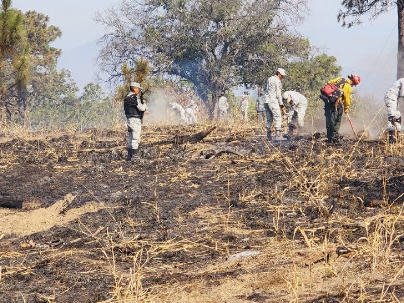 Se registra otro incendio forestal en La Primavera