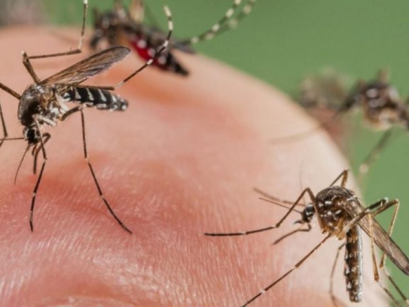 Se registra primera defunción en el año por dengue