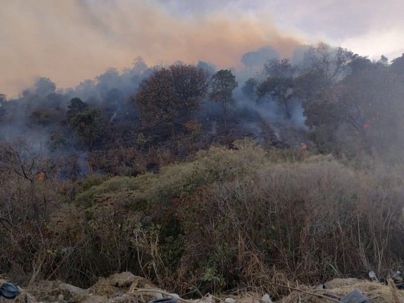 Se registra un incendio forestal en el Cerro del Colli