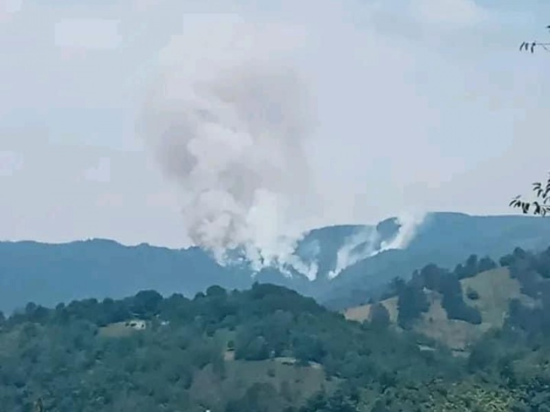 Se registran 11 incendios forestales en Xalapa