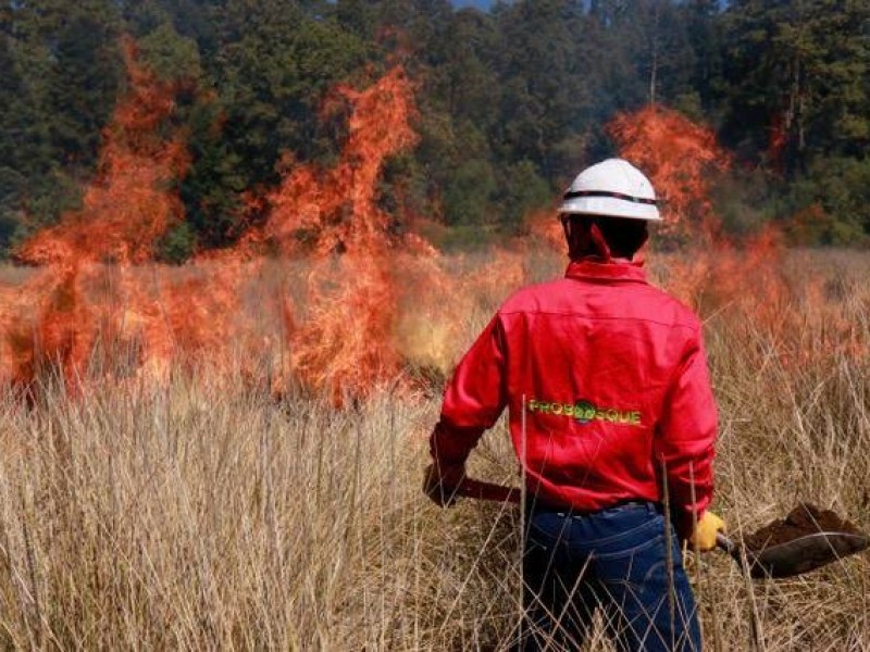 Se registran 1,475 incendios en EDOMEX en 2019