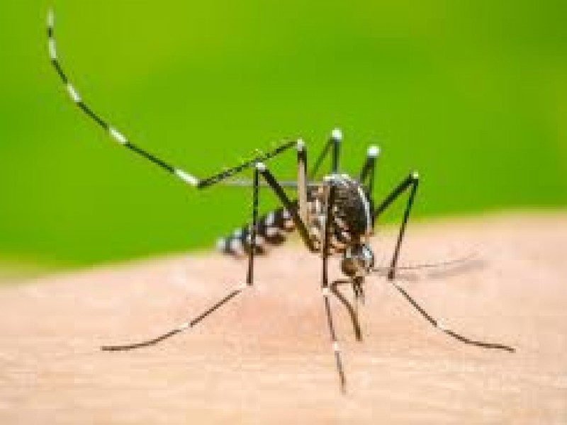 Se registran 4 muertes por dengue en Veracruz