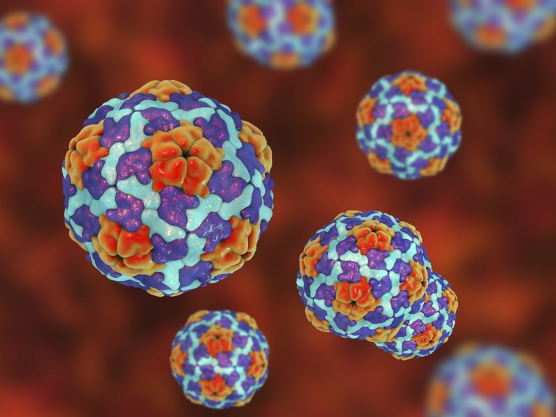 Frecuentes casos de hepatitis A en Ahome