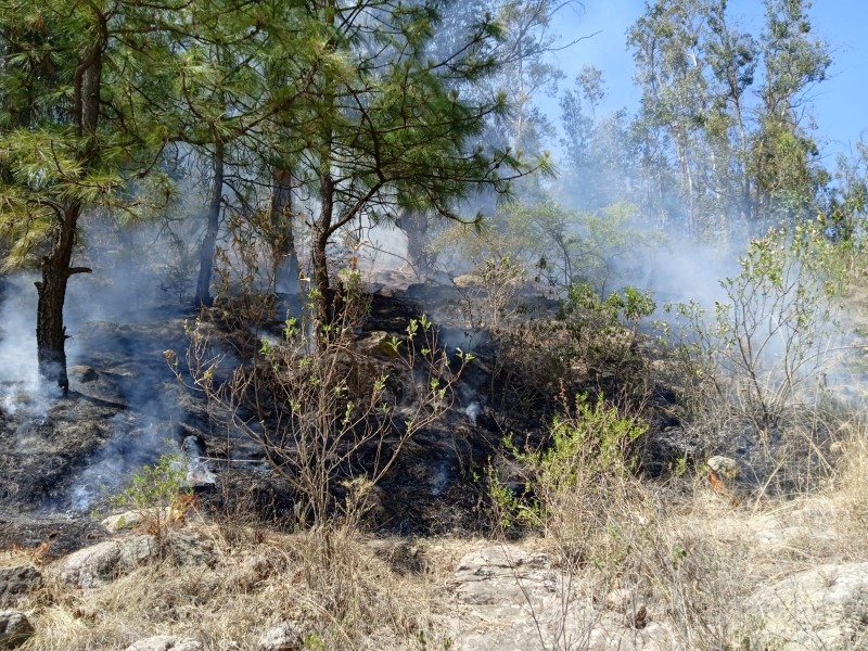 Se registran cuatro incendios forestales en Michoacán